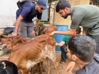 Kembre Goshala visit conducted by Dr Gourish Paukone maam - Kara Seva Shivir, SCM Shirali, 2025 - Day 4 (31 Dec 2025)